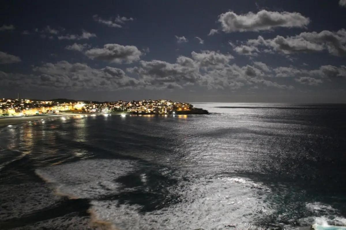 Studio Bondi Beach Sydney Exteriör bild